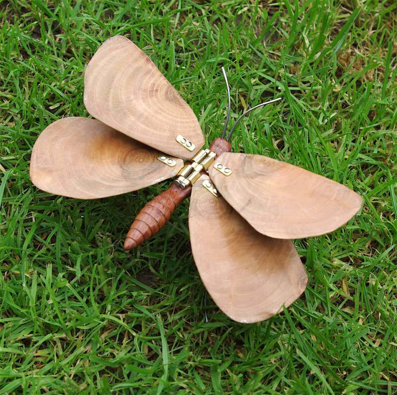 Wood Butterfly - wings angled